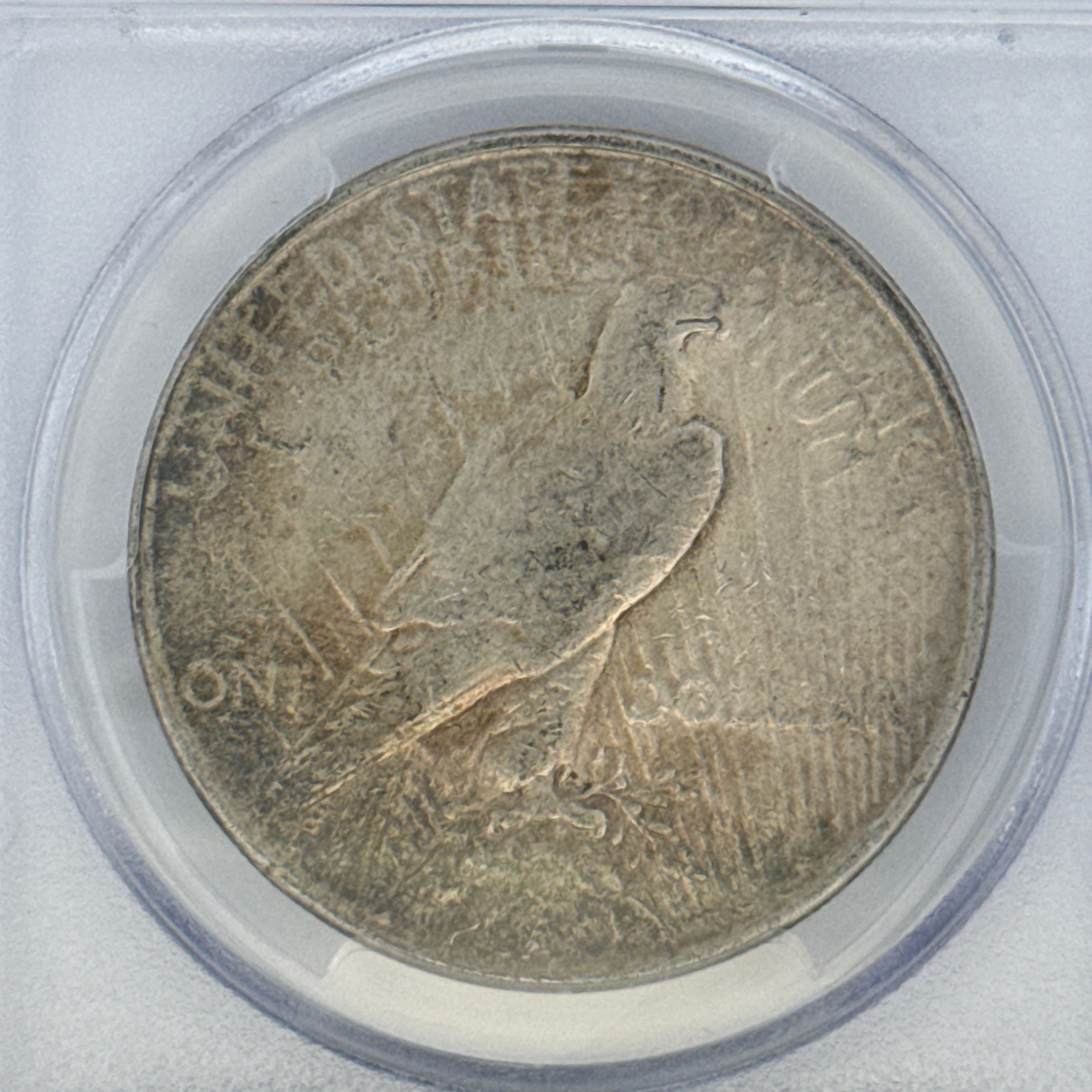 1923 Peace Silver Dollar F15 PCGS Graded