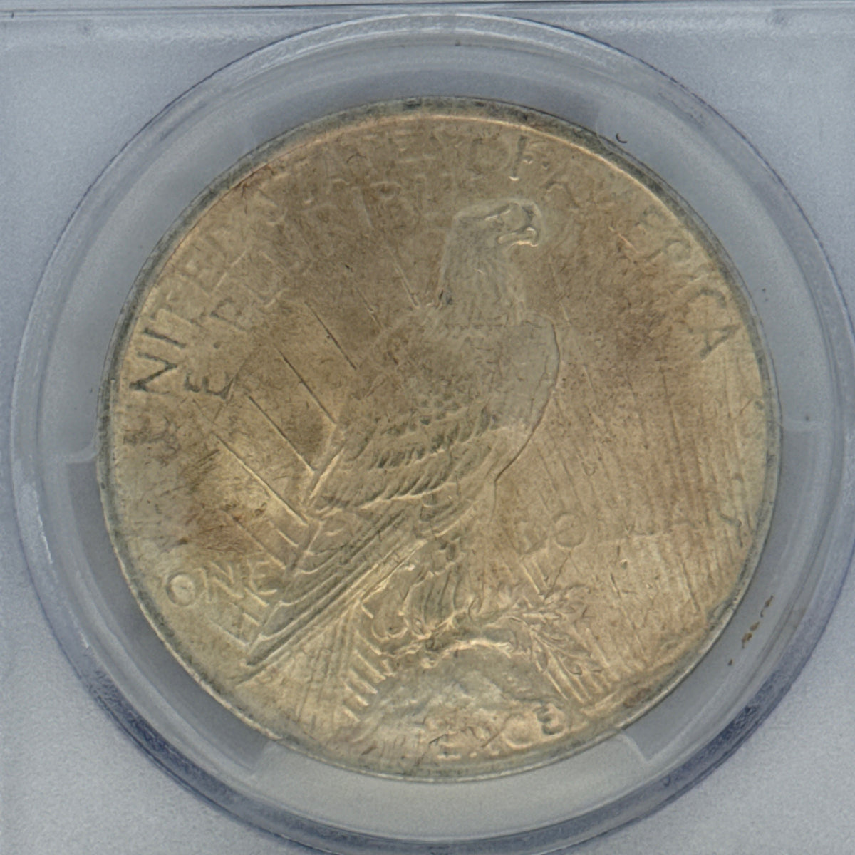 1923 Peace Silver Dollar MS62 PCGS Graded