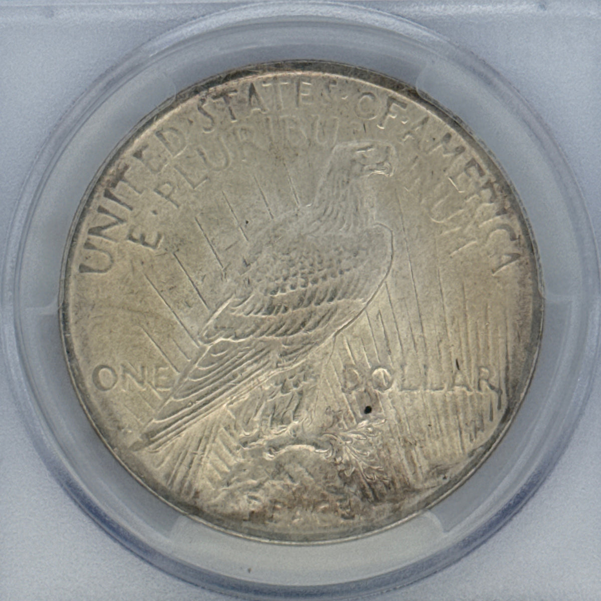 1923 Peace Silver Dollar MS63 PCGS Graded