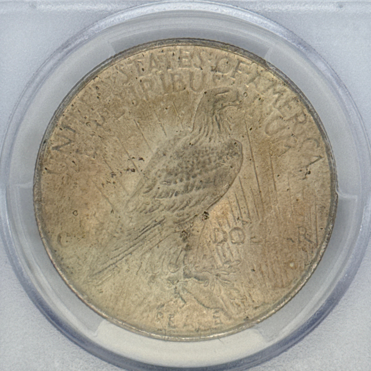 1924 Peace Silver Dollar MS63 PCGS Graded