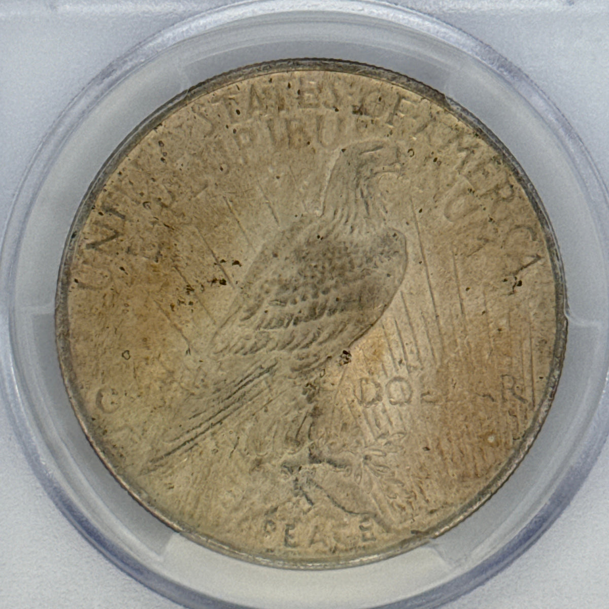 1924 Peace Silver Dollar MS63 PCGS Graded