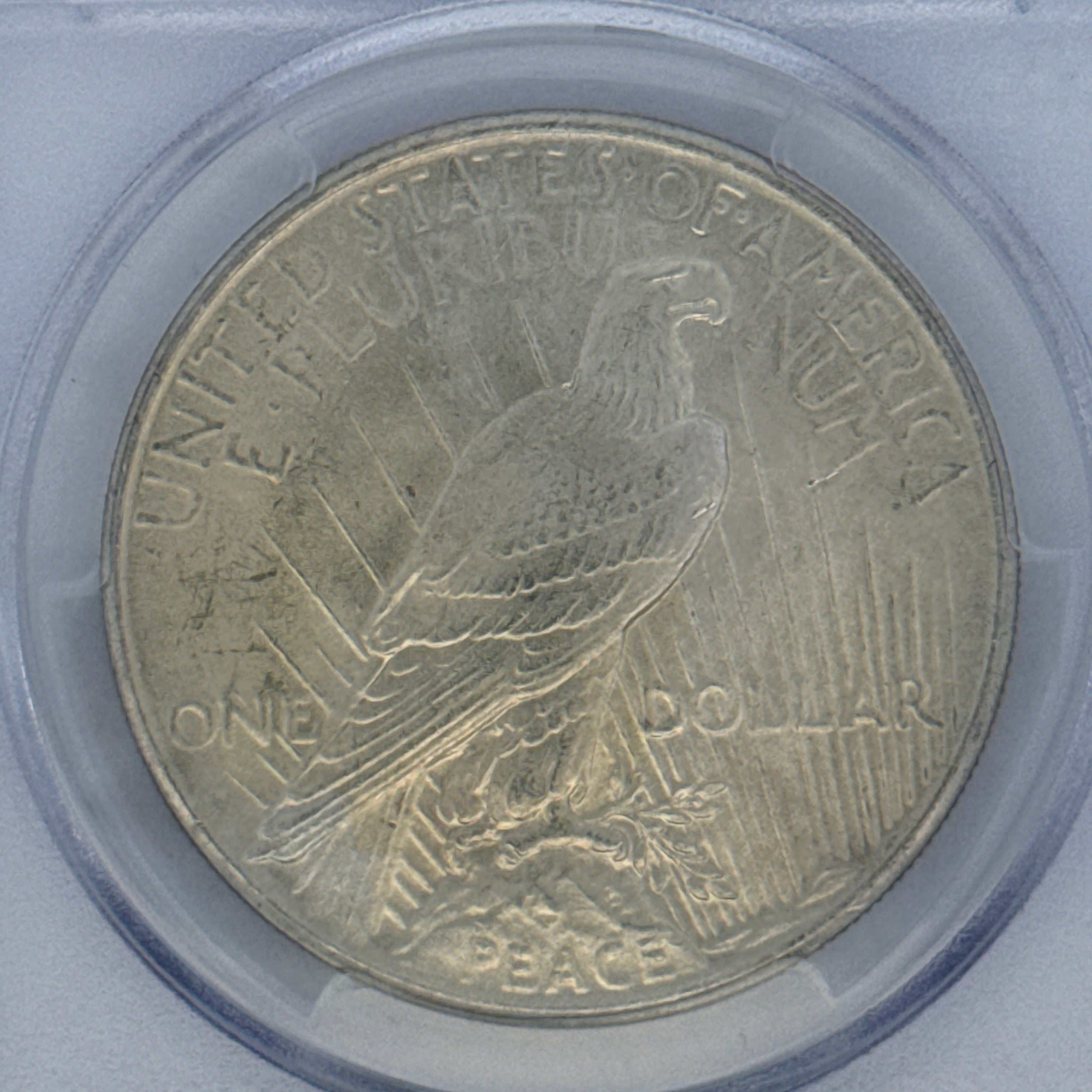 1925 Peace Silver Dollar MS63 PCGS Graded