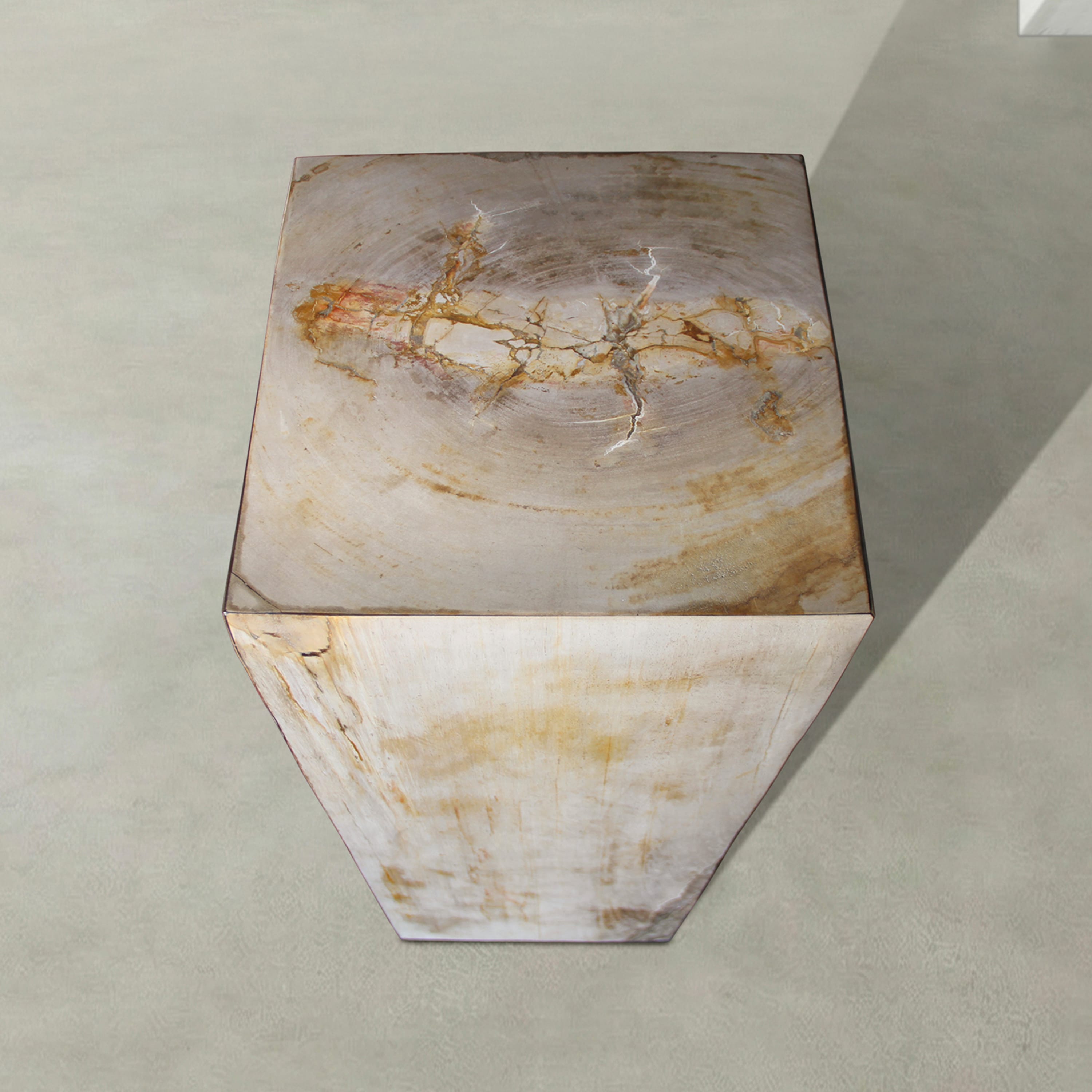 Kalifano Petrified Wood Natural Petrified Wood Hollow Square Pedestal from Indonesia - 39" / 168 lbs PWP8000.044