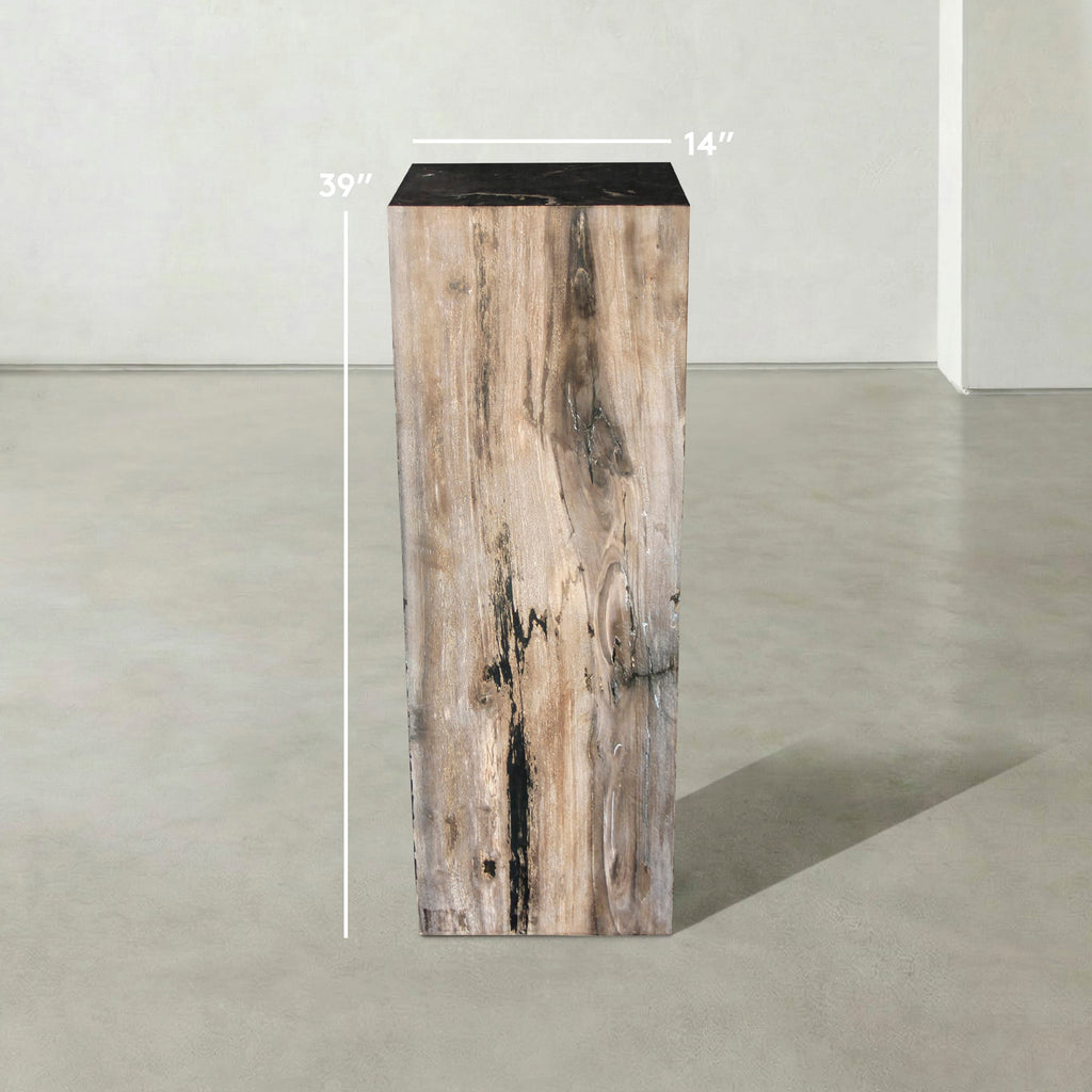 Kalifano Petrified Wood Natural Petrified Wood Hollow Square Pedestal from Indonesia - 39" / 190 lbs PWP8000.063
